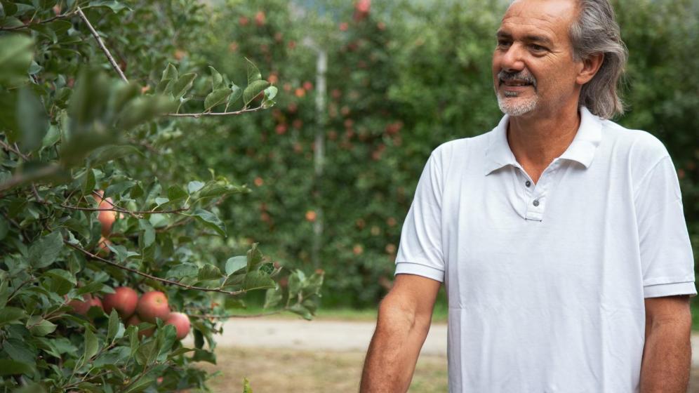 Apple farmer Thomas Knoll with a apple tree