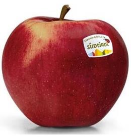 Photo of the apple variety CivM49