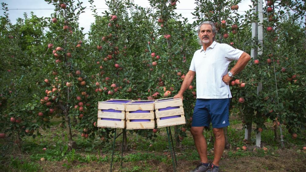 Apple farmer Thomas Knoll with his harvest