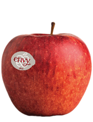 Südtiroler Apfel Envy