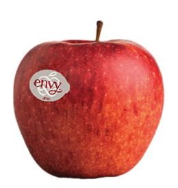 Apple variety Envy