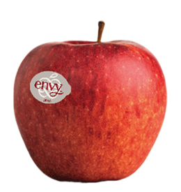Photo of the apple variety Envy