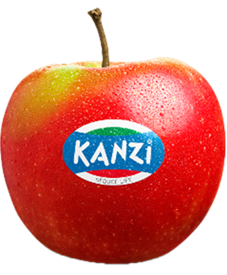 Kanzi apple