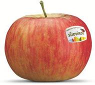 Photo of the apple variety Topaz