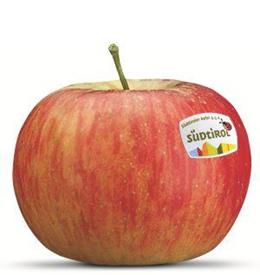 Photo of the apple variety Topaz