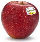 Photo of the apple variety SQ159