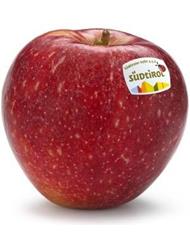Photo of the apple variety SQ159