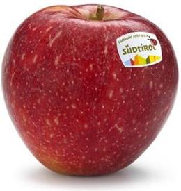 Photo of the apple variety SQ159