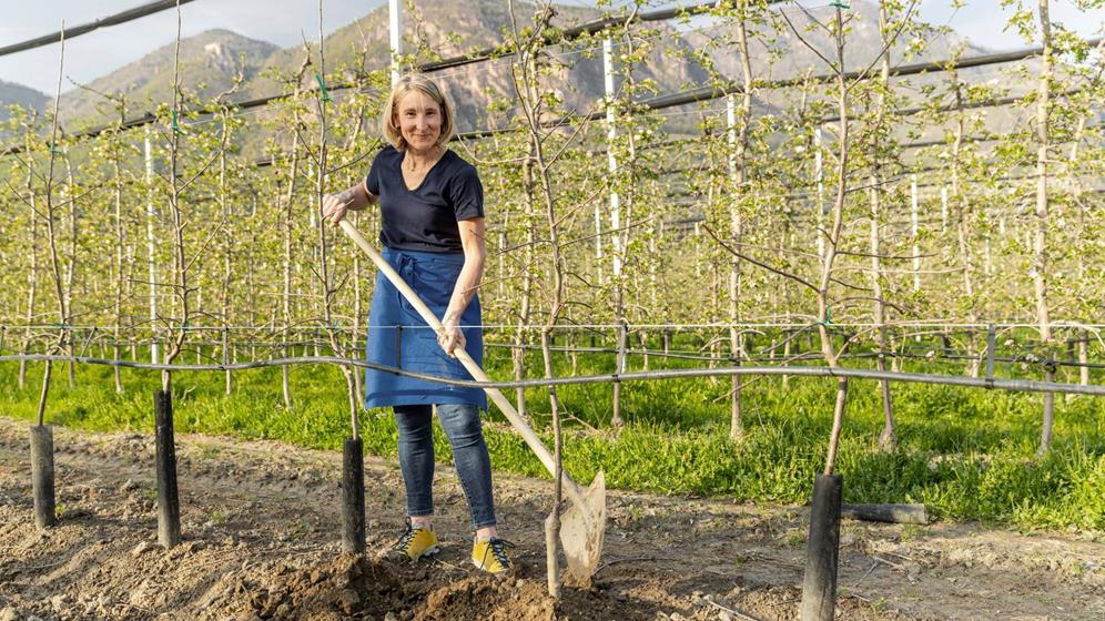 Apple farmer Michaela Hafner at work