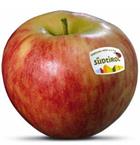Photo of the apple variety Elstar apple