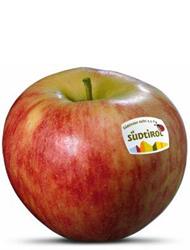 Photo of the apple variety Elstar apple