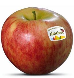 Photo of the apple variety Elstar apple