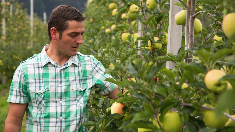 Apple farmer Martin Spechtenhauser