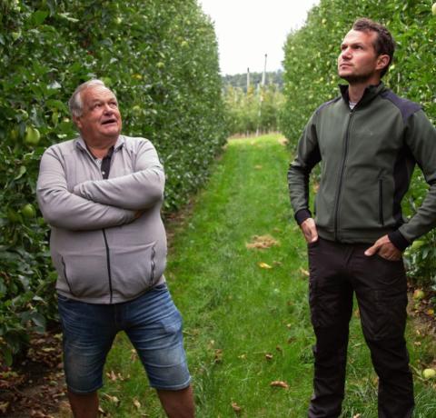 Apple farmers Walter and Stefan Gasser