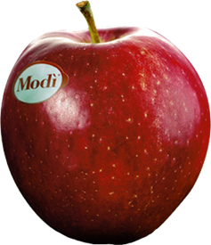 Modi apple