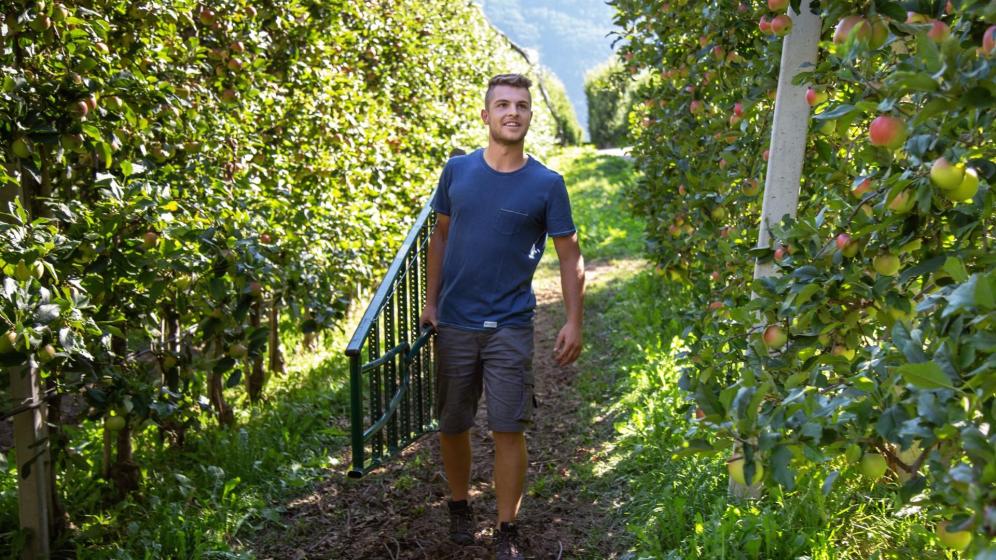 Apple farmer Felix Telser in the orchard