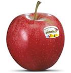 Photo of the apple variety Gala