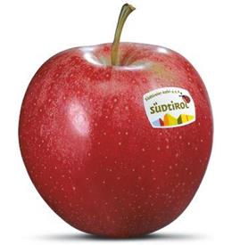 Photo of the apple variety Gala