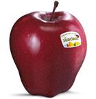 Photo of the apple variety Red Delicious
