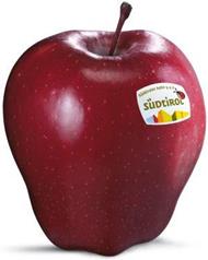 Photo of the apple variety Red Delicious