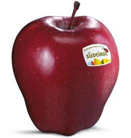 Photo of the apple variety Red Delicious