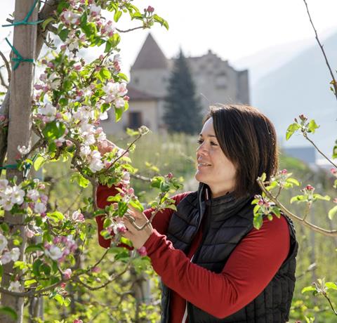 Apple farmer Maria Tappeiner