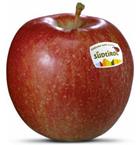 Photo of the apple variety Braeburn Apfel