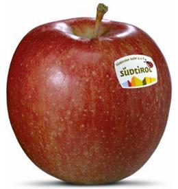 Photo of the apple variety Braeburn Apfel