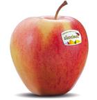 Photo of the apple variety Pinova
