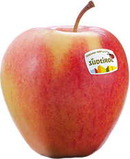 Pinova apple