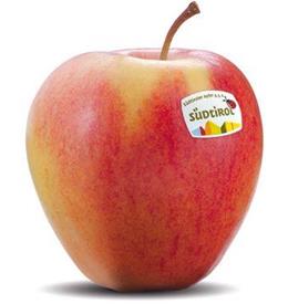 Photo of the apple variety Pinova