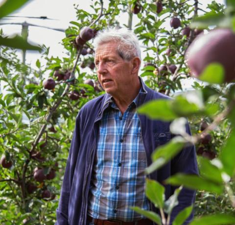 Apple farmer Emil Pichler from Jenesien