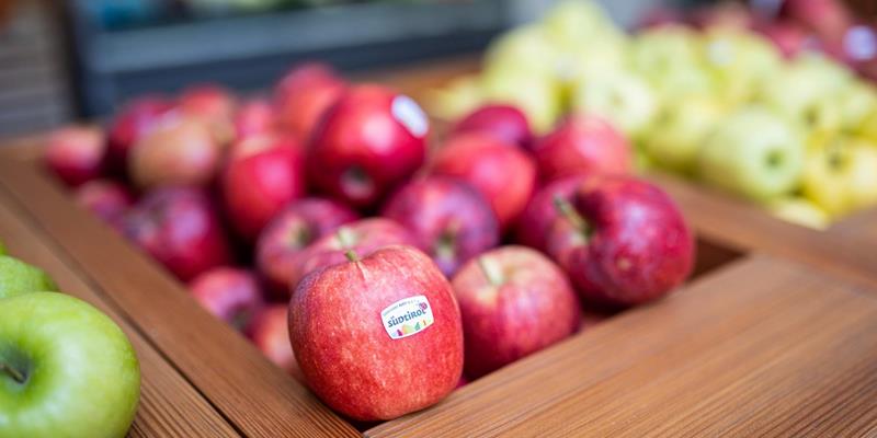 Fresh South Tyrolean apples from the Fruit Cooperative Lasa