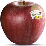 Photo of the apple variety Stayman Winesap