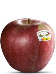 Photo of the apple variety Stayman Winesap