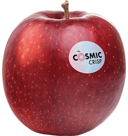 Südtiroler Apfel Cosmic Crisp
