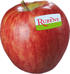 Rubens apple