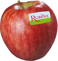Rubens apple