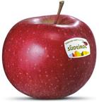 Photo of the apple variety Morgenduft