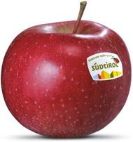 Photo of the apple variety Morgenduft