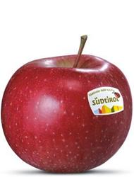 Photo of the apple variety Morgenduft