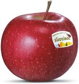 Photo of the apple variety Morgenduft