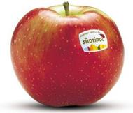 Photo of the apple variety Idared