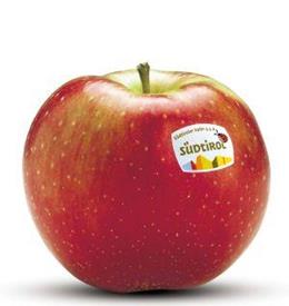 Photo of the apple variety Idared