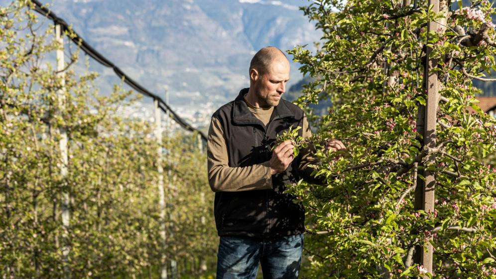 Apple farmer Matthias Gamper