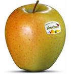 Photo of the apple variety Golden Delicious