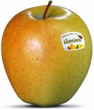 Photo of the apple variety Golden Delicious