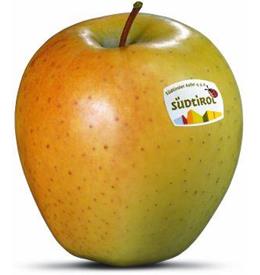 Photo of the apple variety Golden Delicious