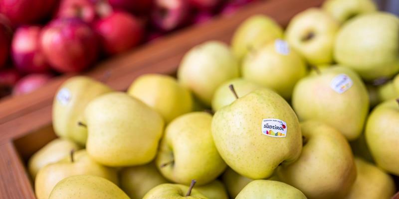 Fresh South Tyrolean apples from the fruit cooperative Mivor in Latsch