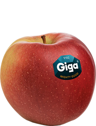 Südtiroler Apfel Giga